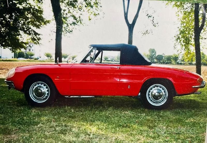 Usata Alfa Romeo Spider 1960 Rosso Cabrio