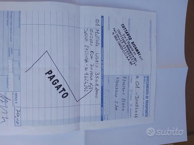 Usata Fiat Punto 75 CV (55 kW) 2010 Bianco Utilitaria