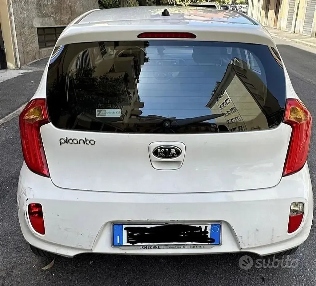 Usata Kia Picanto 66 CV (48 kW) 2015 Bianco Utilitaria