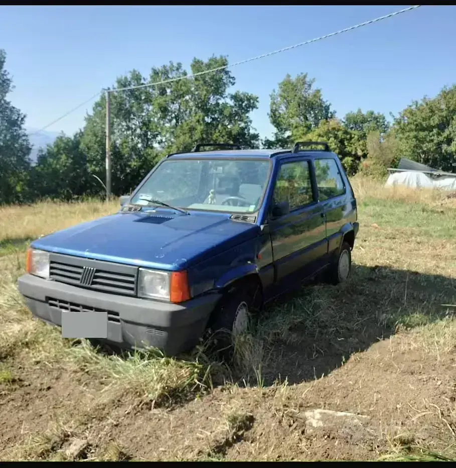 Usata Fiat Panda 54 CV (39 kW) 2002 Bluazzurro Berlina