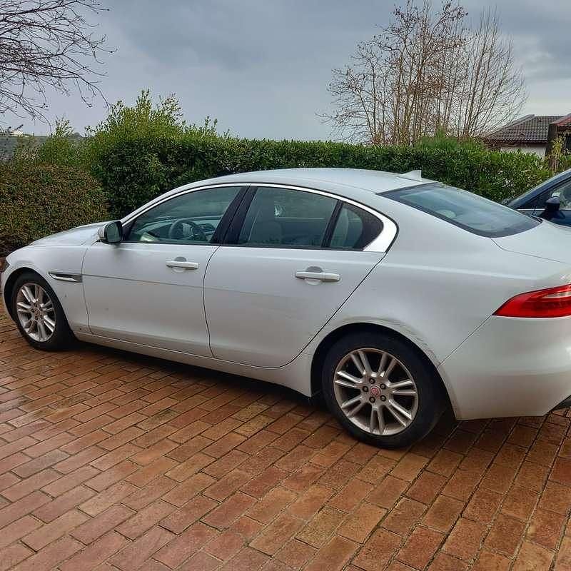 Usata Jaguar XE Pure 179 CV (131 kW) 2016 Bianco Berlina