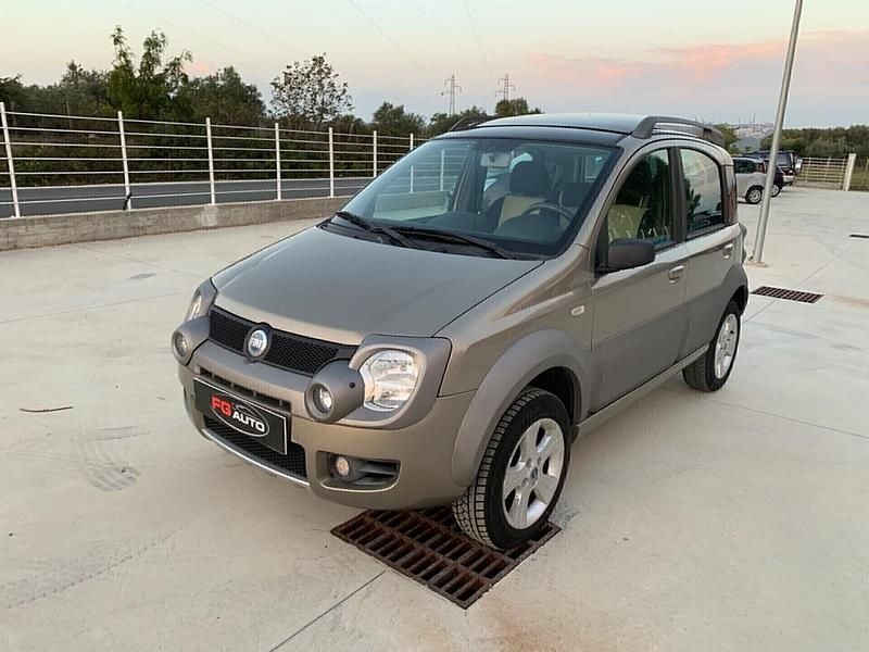 Usata Fiat Panda Cross Cross 75 CV (55 kW) 2006 Verde Utilitaria