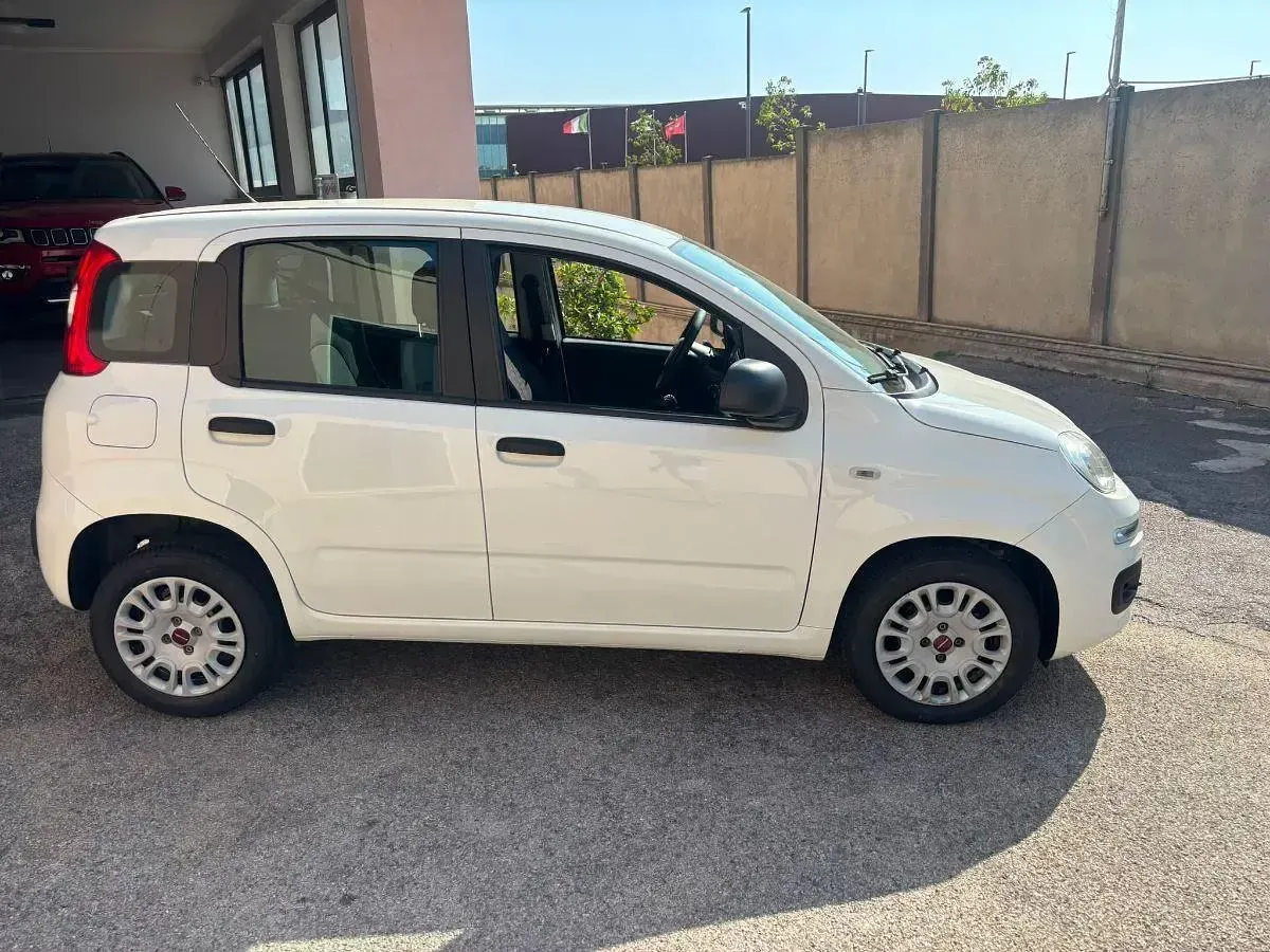Usata Fiat Panda Easy 69 CV (50 kW) 2020 Bianco Utilitaria