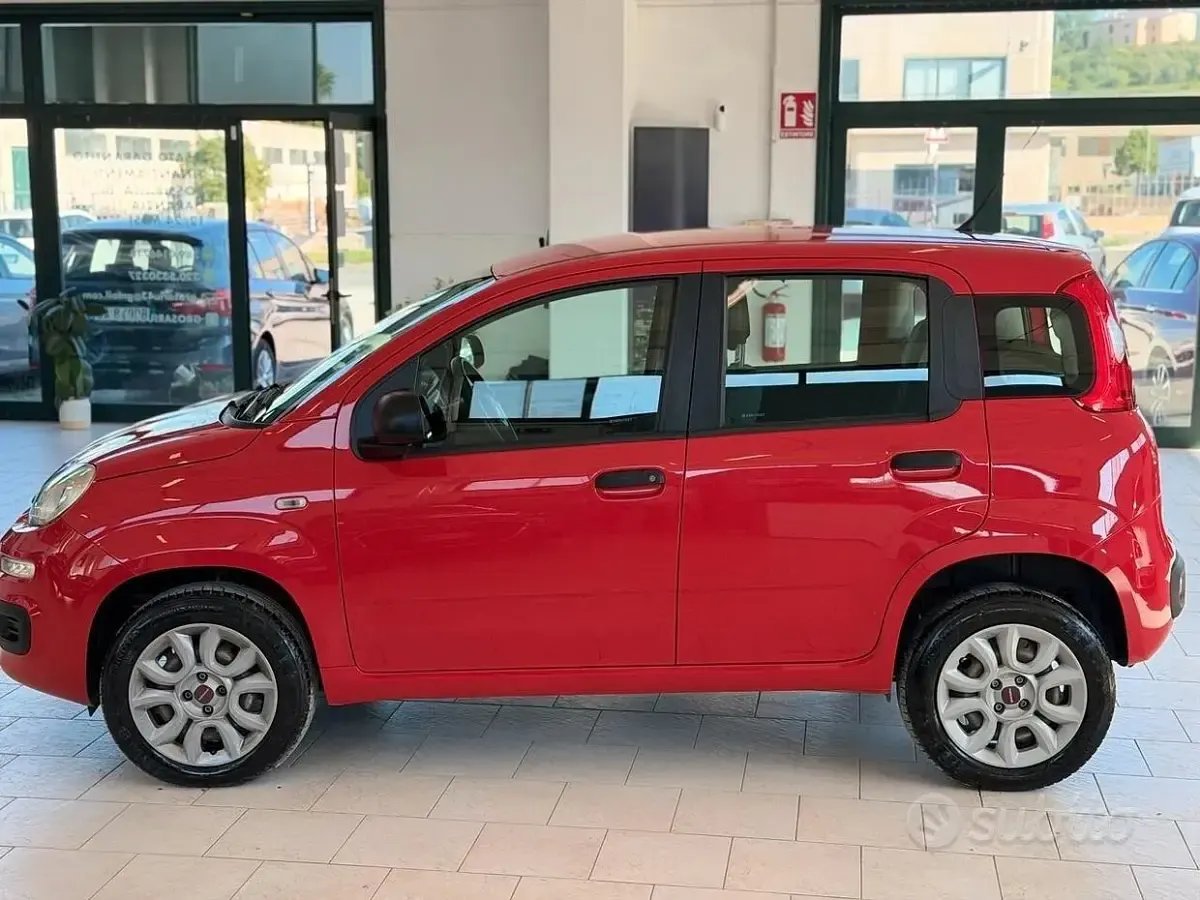 Usata Fiat Panda Easy 70 CV (51 kW) 2019 Rosso Utilitaria