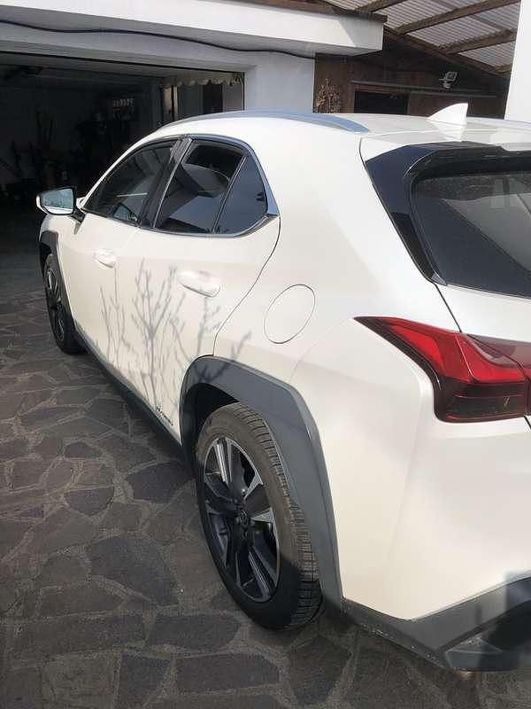 Usata Lexus UX 250h Executive Line 152 CV (111 kW) 2019 Bianco SUV