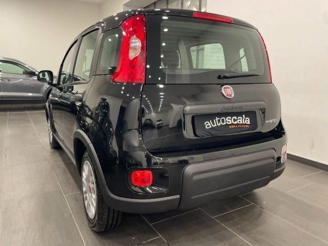Usata Fiat Panda S 69 CV (50 kW) 2023 Nero Utilitaria