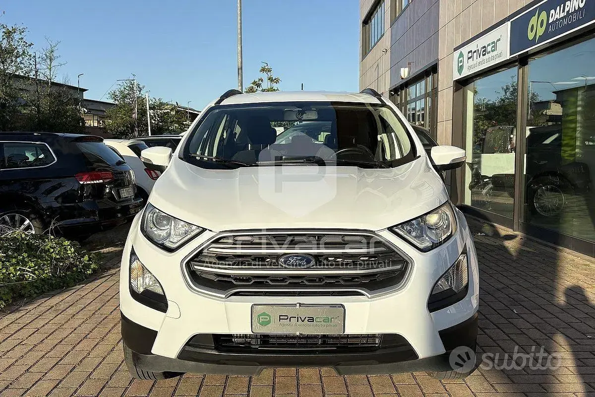 Usata Ford Ecosport 99 CV (72 kW) 2019 Bianco SUV