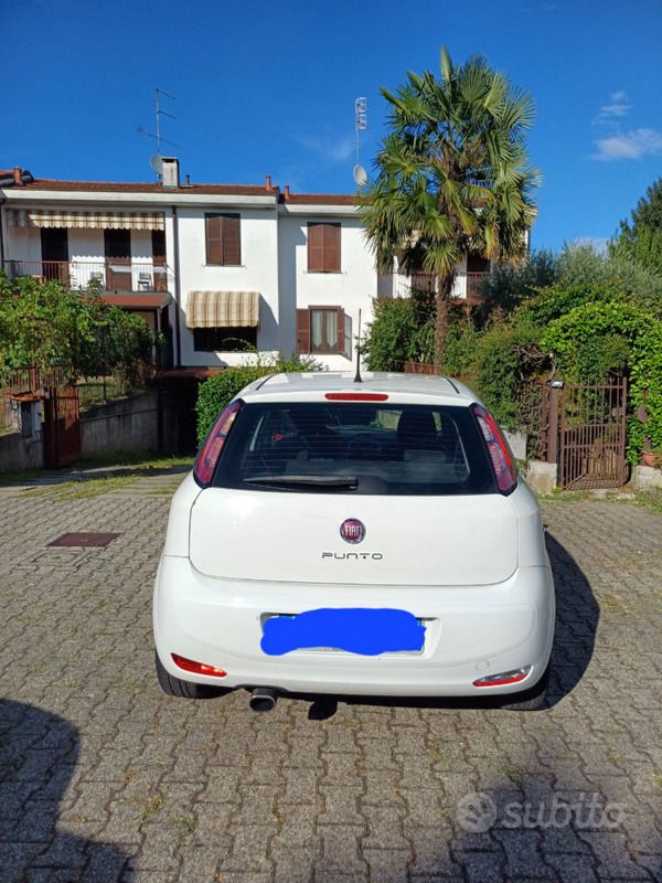 Usata Fiat Punto 69 CV (50 kW) 2013 Bianco Utilitaria
