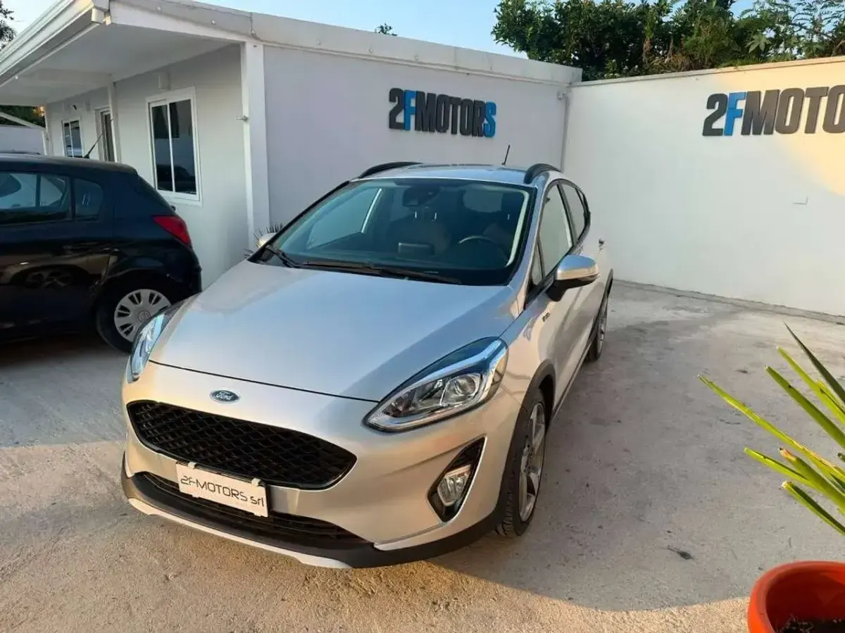Usata Ford Fiesta Active 86 CV (63 kW) 2019 Grigio Utilitaria