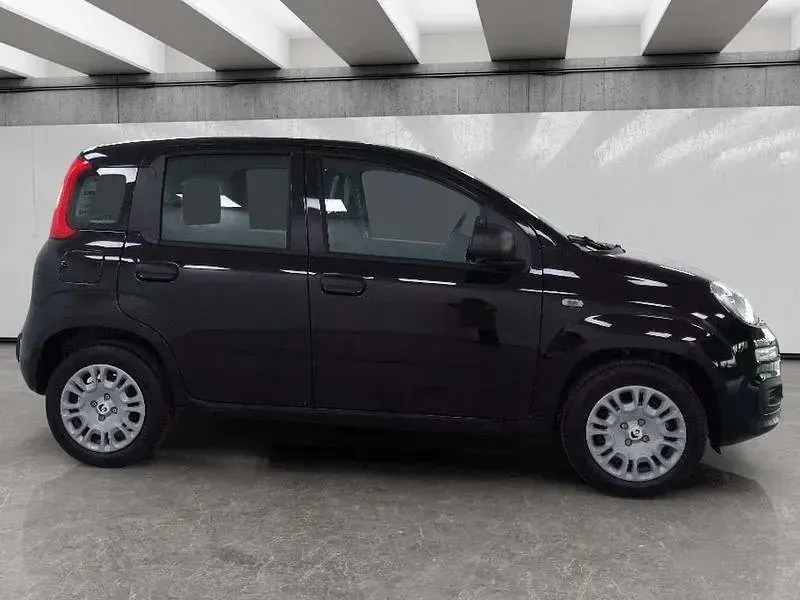 Nuova Fiat Panda Icon 70 CV (51 kW) 2025 Bianco Berlina