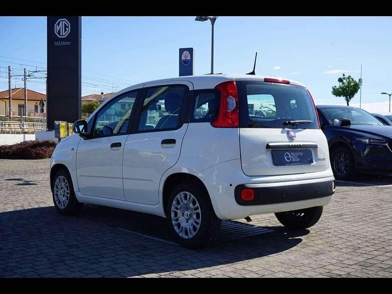 Usata Fiat Panda 69 CV (50 kW) 2024 Bianco divino Utilitaria