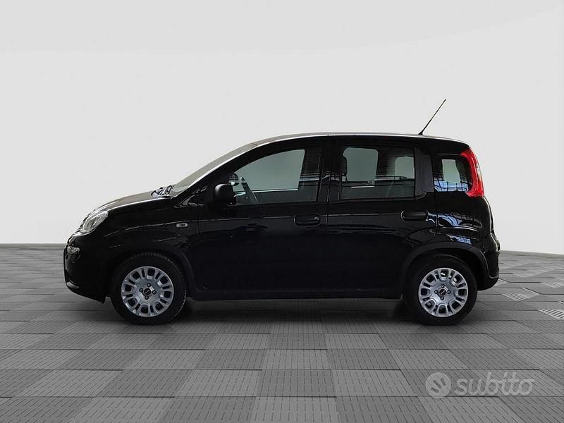 Usata Fiat Panda S 69 CV (50 kW) 2024 Nero Utilitaria
