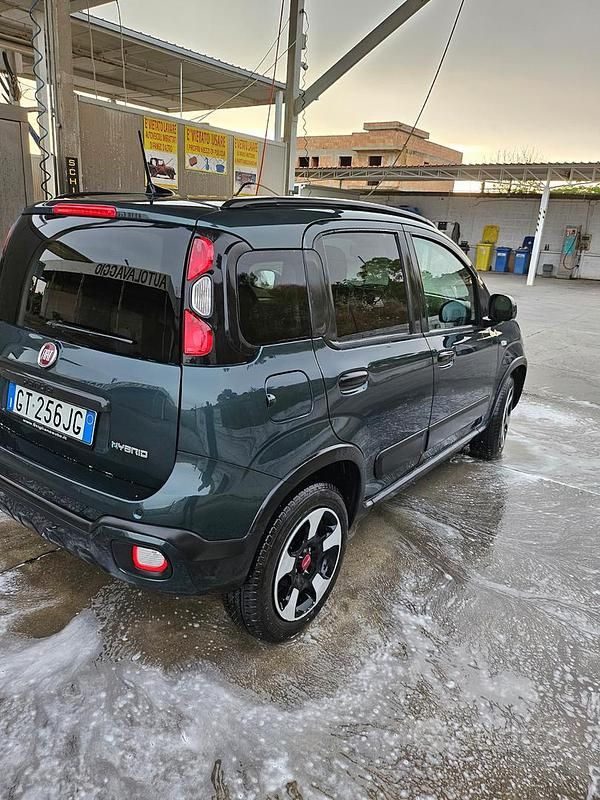 Usata Fiat Panda Cross Cross 2024 Verde Utilitaria