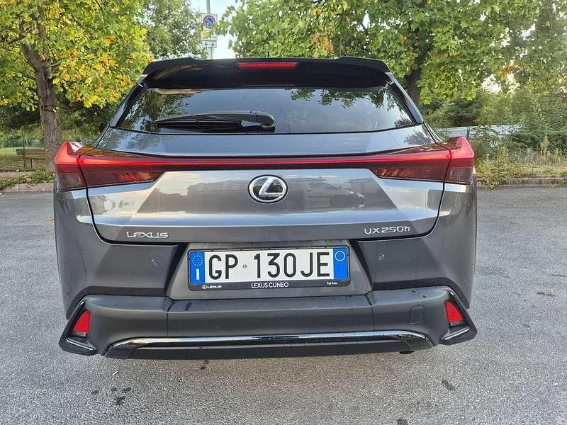 Usata Lexus UX 250h 145 CV (106 kW) 2023 Grigio SUV