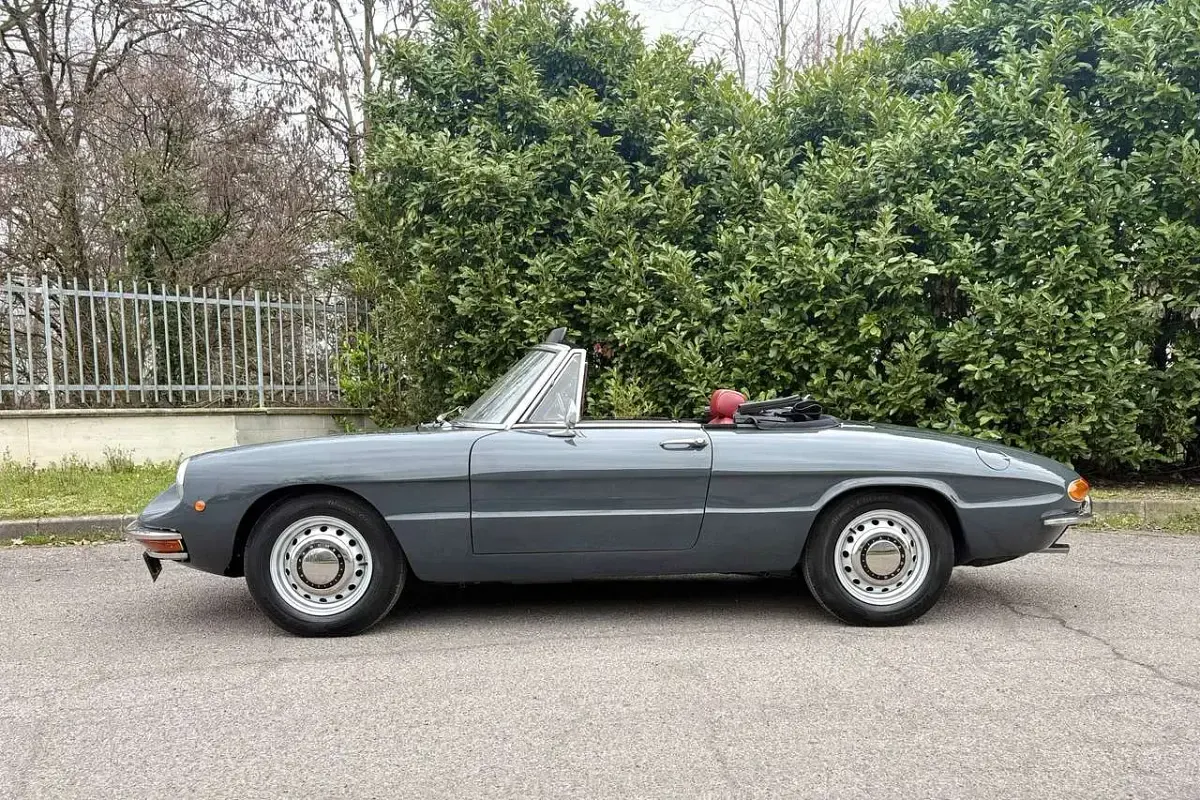 Usata Alfa Romeo Spider Veloce 113 CV (83 kW) 1969 Grigio Cabrio