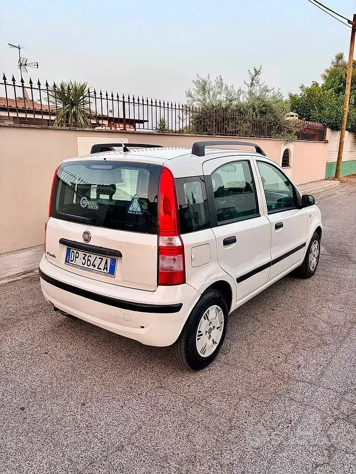Usata Fiat Panda Dynamic 60 CV (44 kW) 2009 Bianco Utilitaria