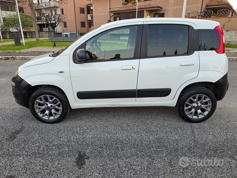 Usata Fiat Panda 4x4 S 80 CV (58 kW) 2016 Bianco Utilitaria