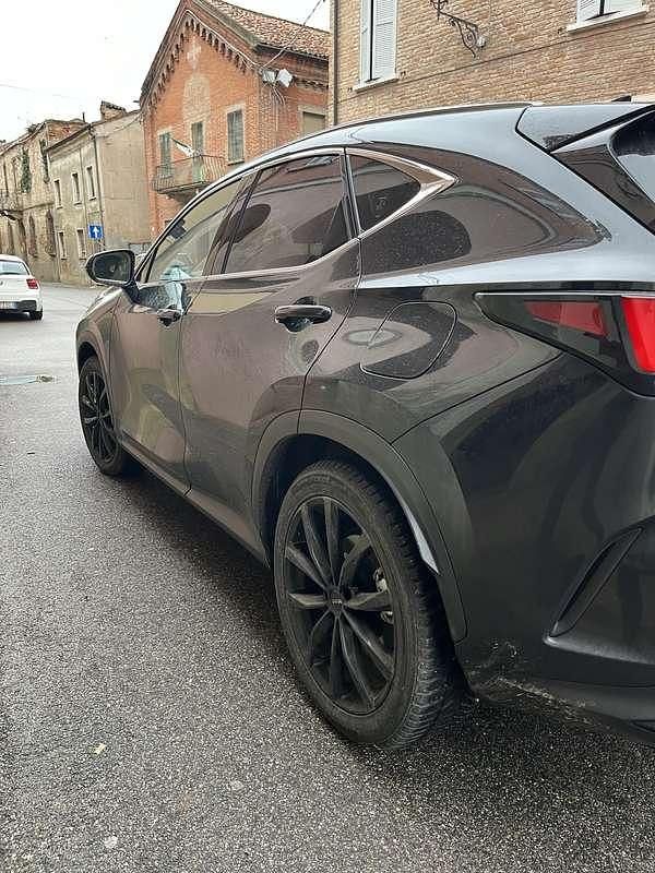 Usata Lexus NX350h 190 CV (139 kW) 2025 SUV
