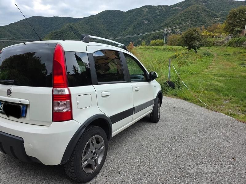 Usata Fiat Panda 4x4 2011 Bianco Utilitaria