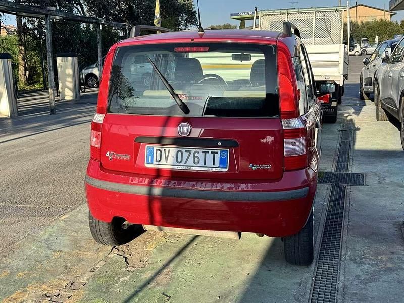 Usata Fiat Panda Cross 60 CV (44 kW) 2009 Utilitaria