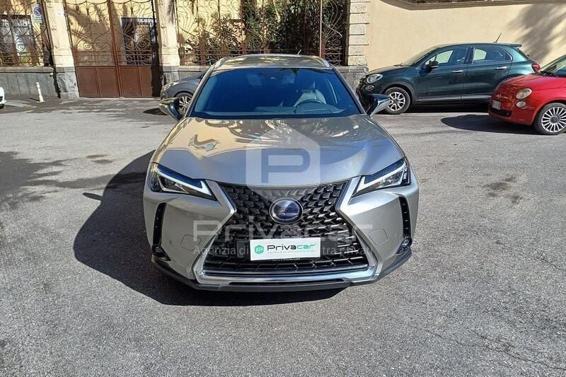 Usata Lexus UX 152 CV (111 kW) 2020 Grigio SUV