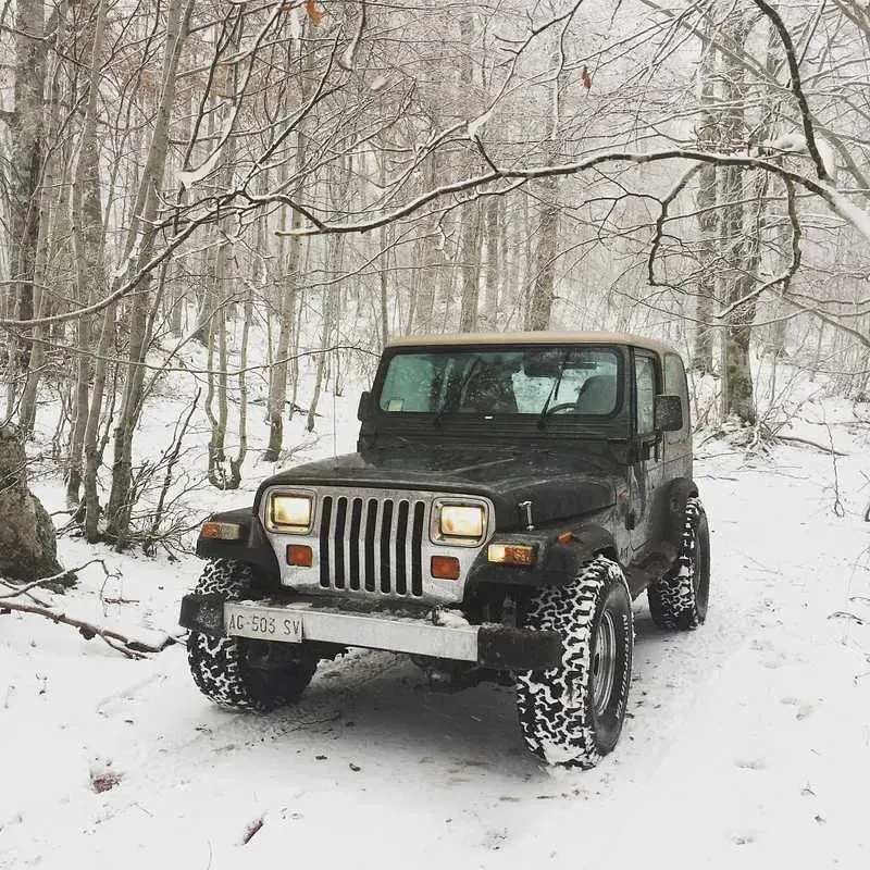 Usata Jeep Wrangler Limited 184 CV (135 kW) 1996 Verde SUV