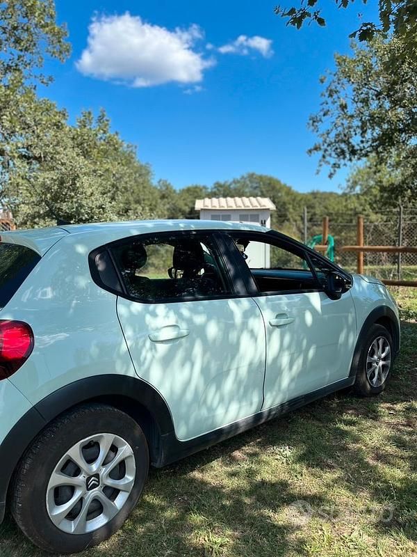 Usata Citroën C3 Feel 99 CV (72 kW) 2017 Verde Utilitaria