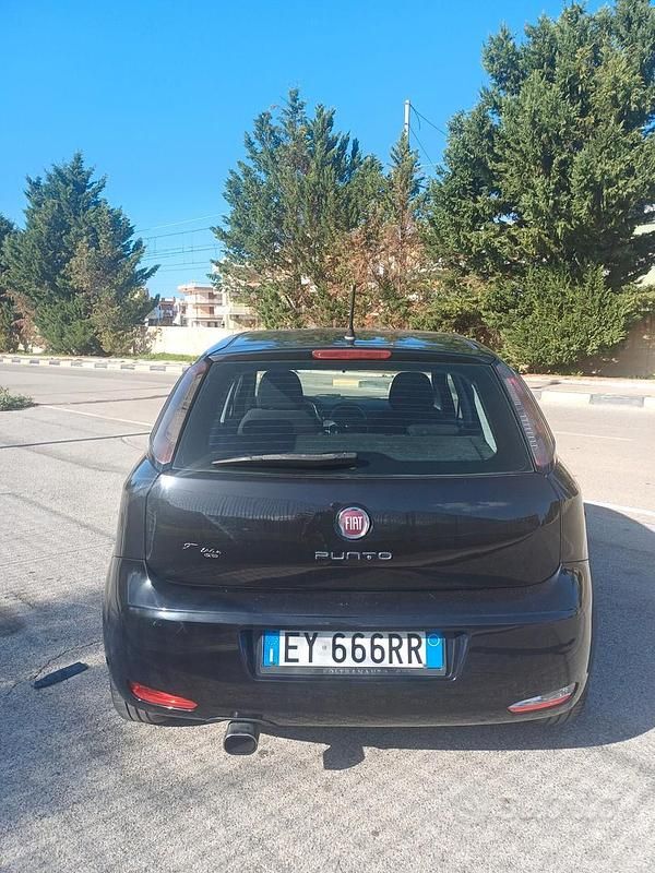 Usata Fiat Punto Lounge 75 CV (55 kW) 2015 Blu Berlina