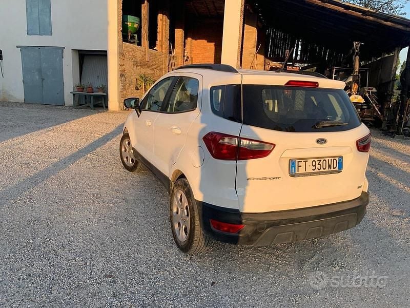 Usata Ford Ecosport 99 CV (72 kW) 2019 Bianco SUV
