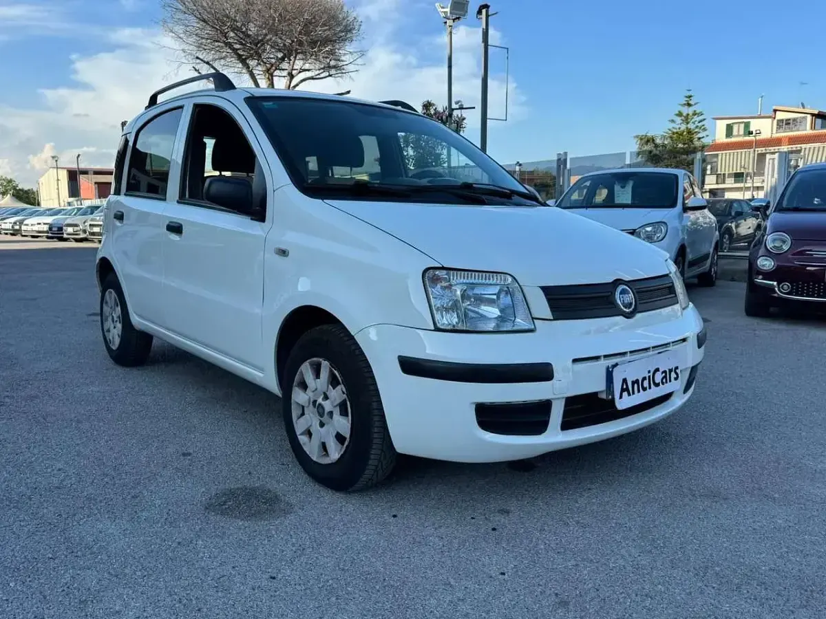 Usata Fiat Panda Dynamic 69 CV (50 kW) 2009 Bianco Utilitaria