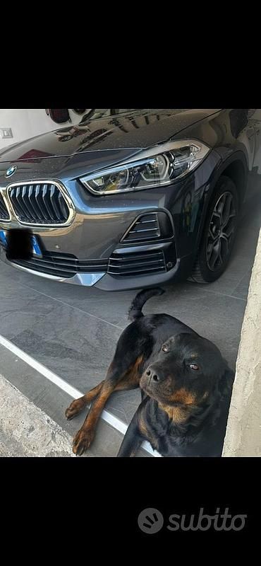 Usata BMW X2 150 CV (110 kW) 2021 Grigio SUV