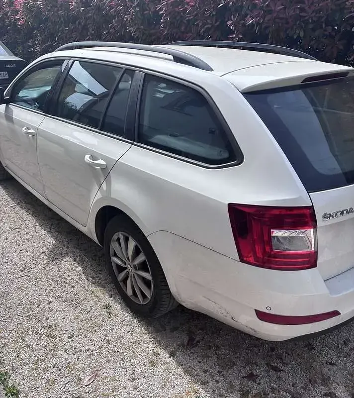Usata Skoda Octavia Exclusive 90 CV (66 kW) 2013 Station wagon