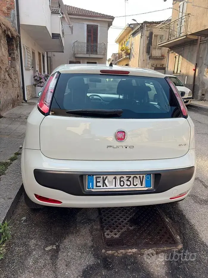 Usata Fiat Punto Evo 75 CV (55 kW) 2011 Bianco Utilitaria