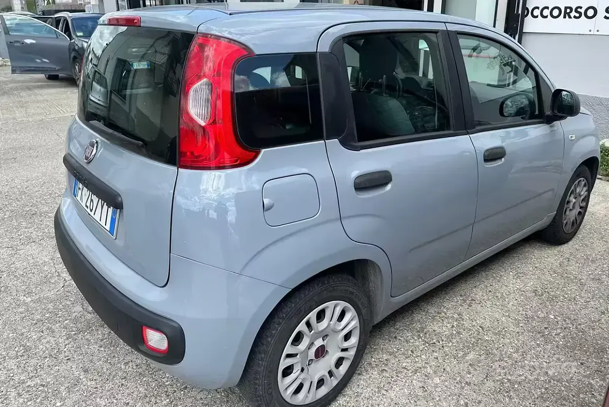 Usata Fiat Panda Easy 69 CV (50 kW) 2017 Grigio Utilitaria
