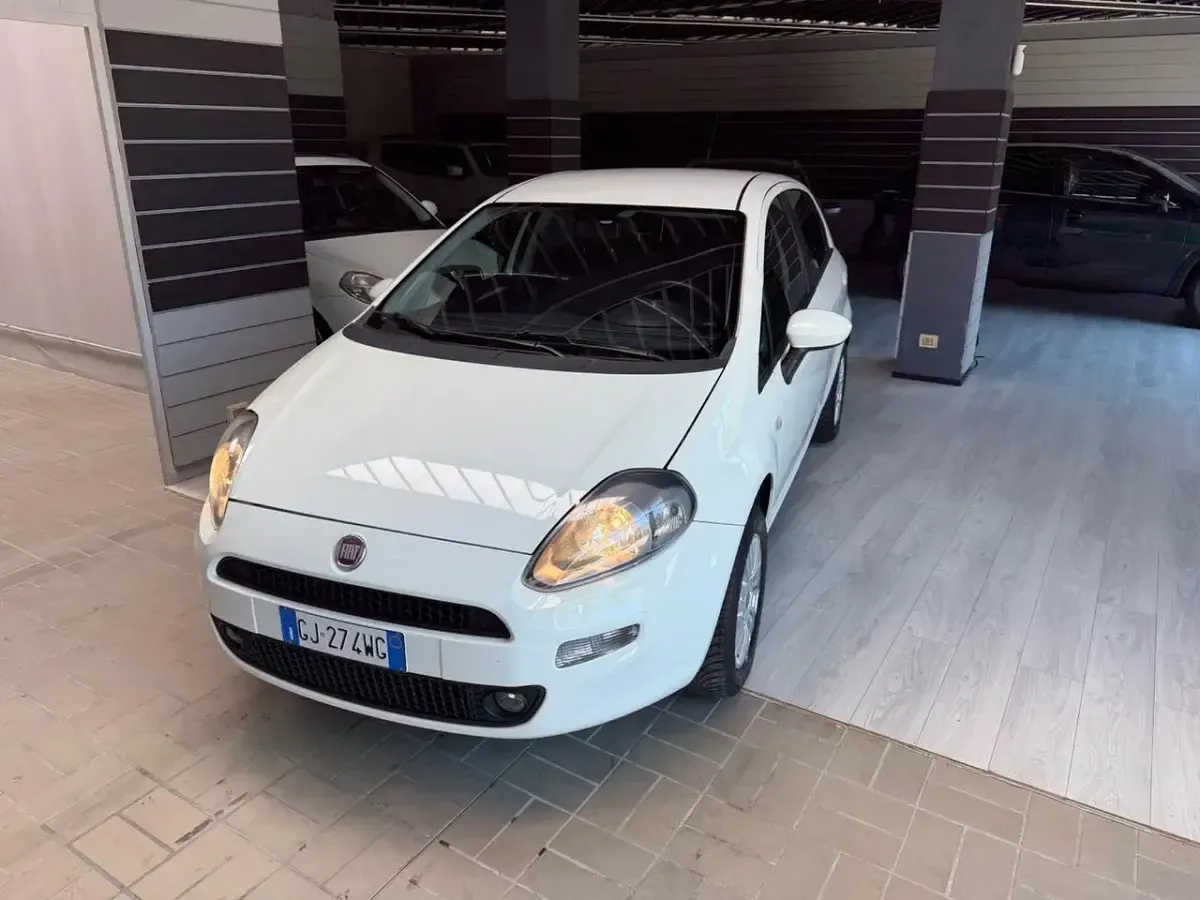 Usata Fiat Punto Lounge 69 CV (50 kW) 2014 Bianco Utilitaria