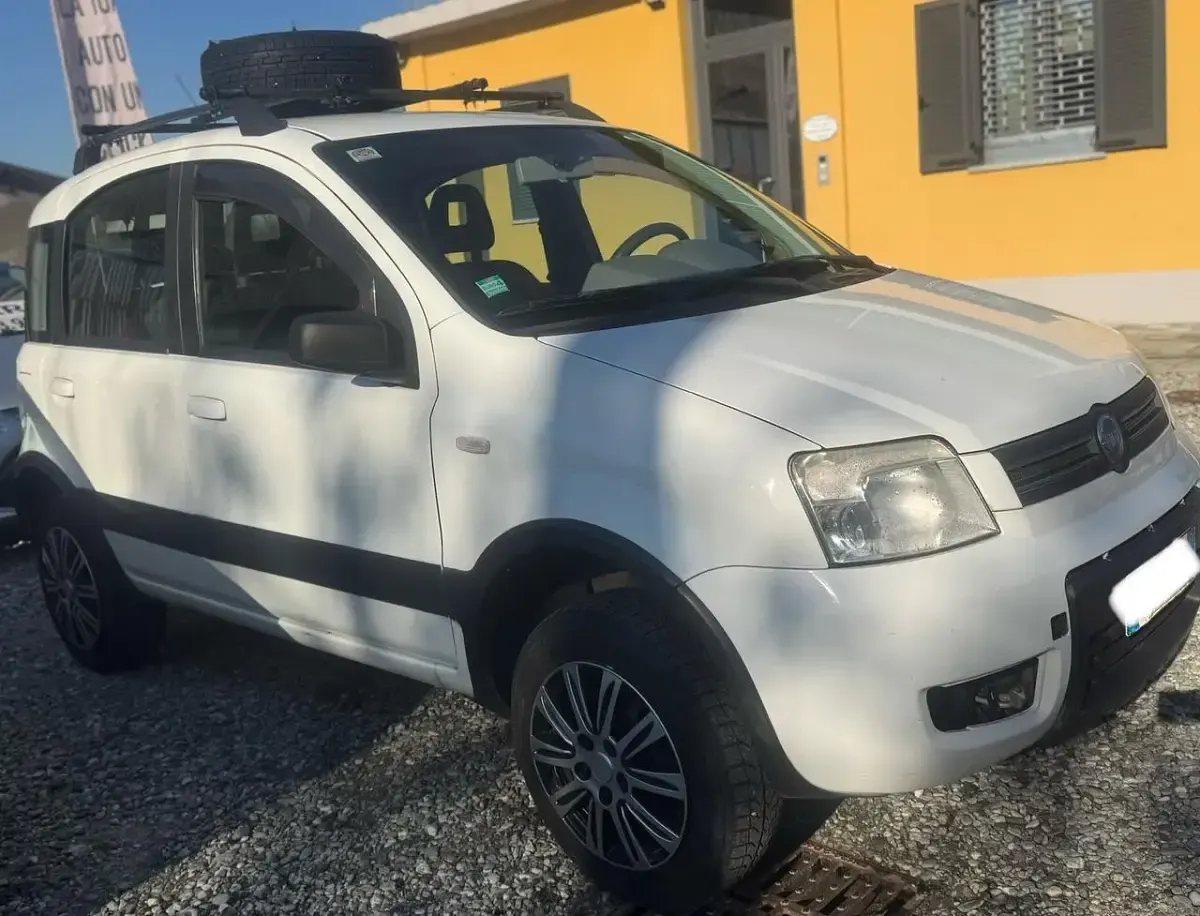 Usata Fiat Panda 4x4 59 CV (43 kW) 2008 Bianco Utilitaria