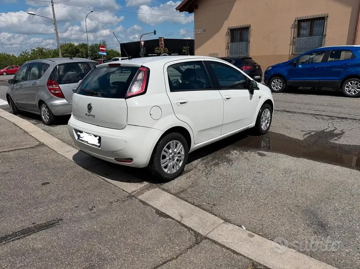 Usata Fiat Punto Evo S 77 CV (56 kW) 2013 Bianco Utilitaria