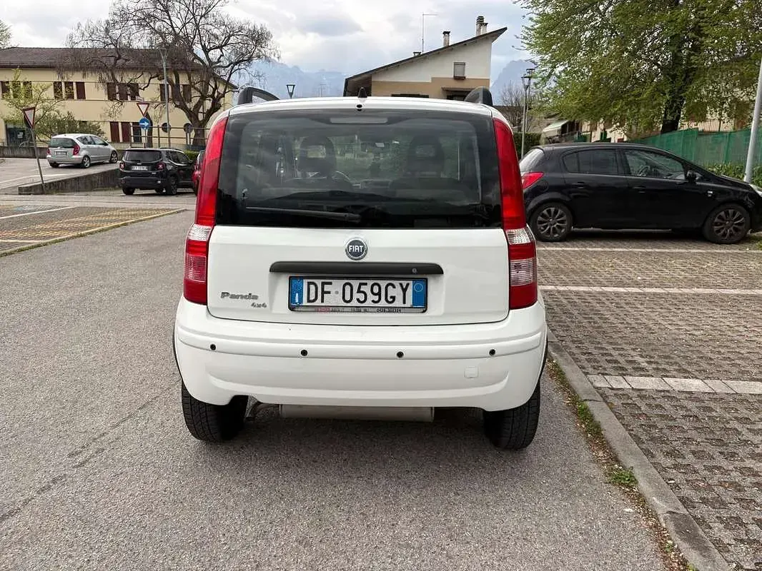 Usata Fiat Panda 4x4 60 CV (44 kW) 2007 Bianco Utilitaria