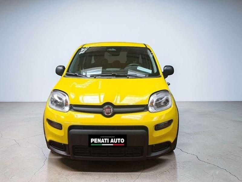 Usata Fiat Panda S 69 CV (50 kW) 2024 Giallo Utilitaria