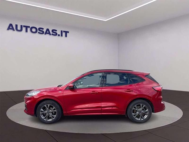 Usata Ford Kuga ST-Line X 120 CV (88 kW) 2020 Rosso SUV