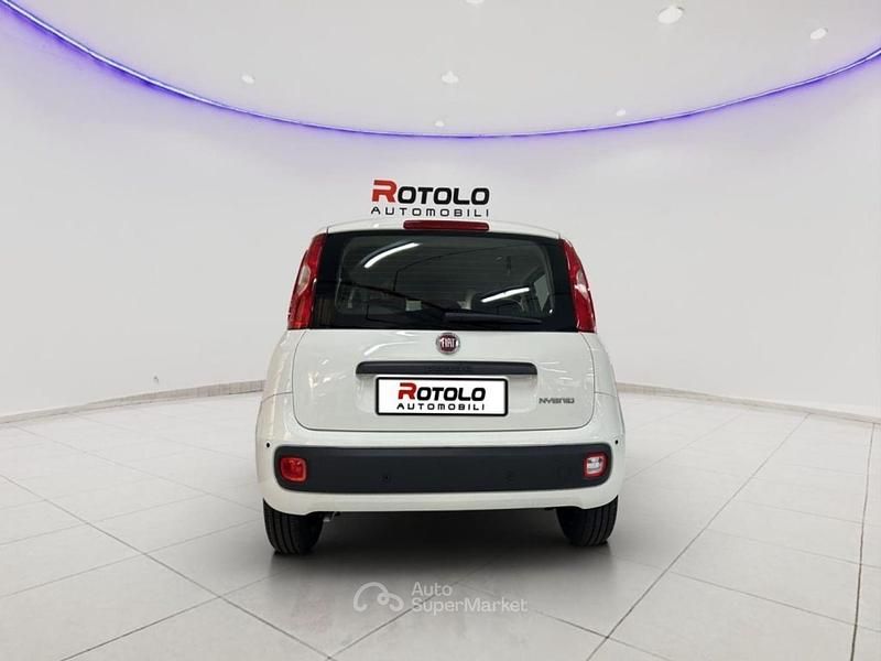 Nuova Fiat Panda Icon 69 CV (50 kW) 2025 Bianco Berlina