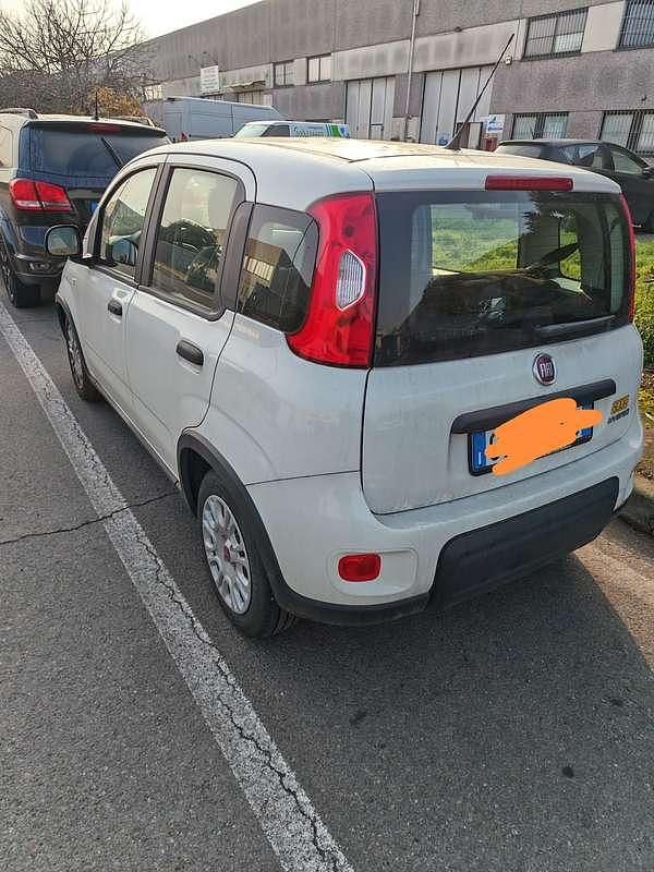Usata Fiat Panda Cross Cross 69 CV (50 kW) 2023 Utilitaria