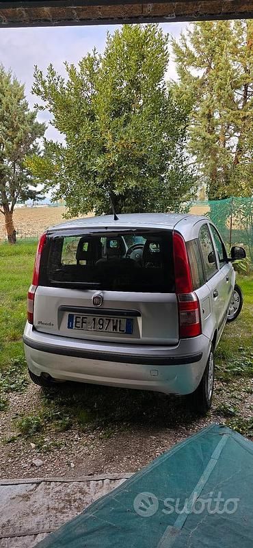 Usata Fiat Panda 69 CV (50 kW) 2010 Utilitaria