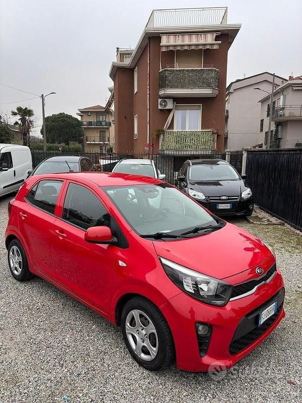 Usata Kia Picanto Active 67 CV (49 kW) 2017 Rosso Utilitaria
