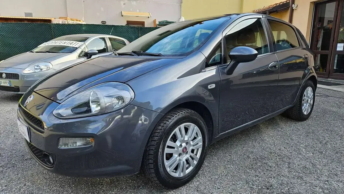 Usata Fiat Punto Lounge 69 CV (50 kW) 2015 Grigio Utilitaria