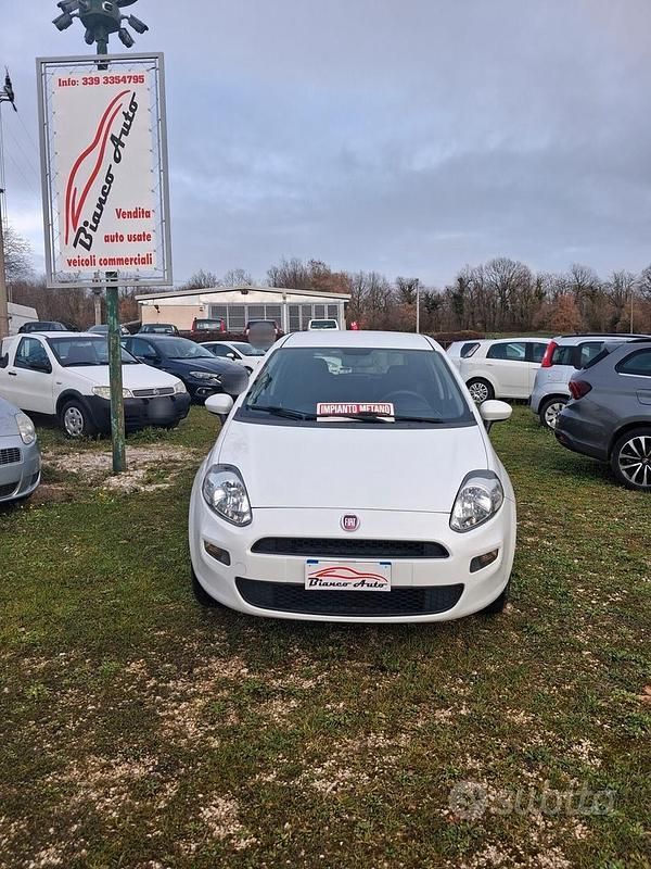 Usata Fiat Punto 77 CV (56 kW) 2016 Bianco Utilitaria