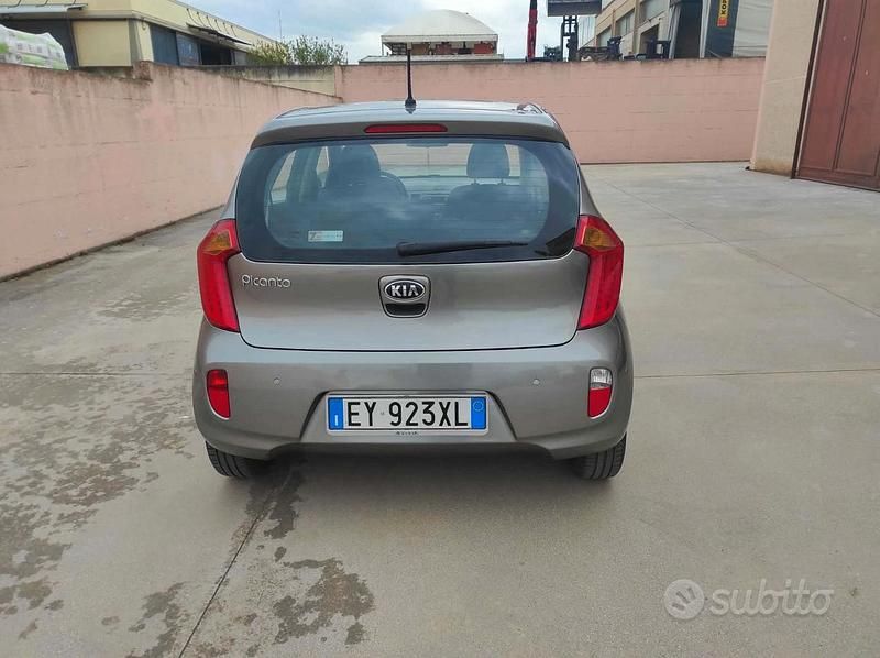 Usata Kia Picanto 69 CV (50 kW) 2015 Grigio Utilitaria