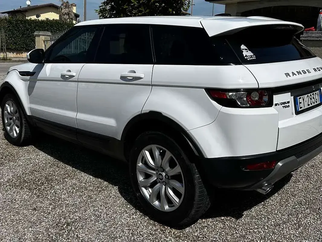 Usata Land Rover Range Rover evoque Prestige 150 CV (110 kW) 2015 Bianco SUV