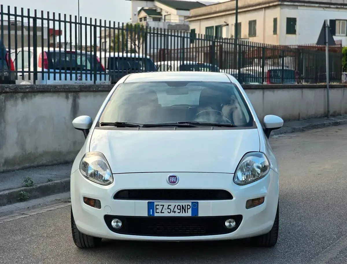 Usata Fiat Punto 75 CV (55 kW) 2016 Bianco Utilitaria