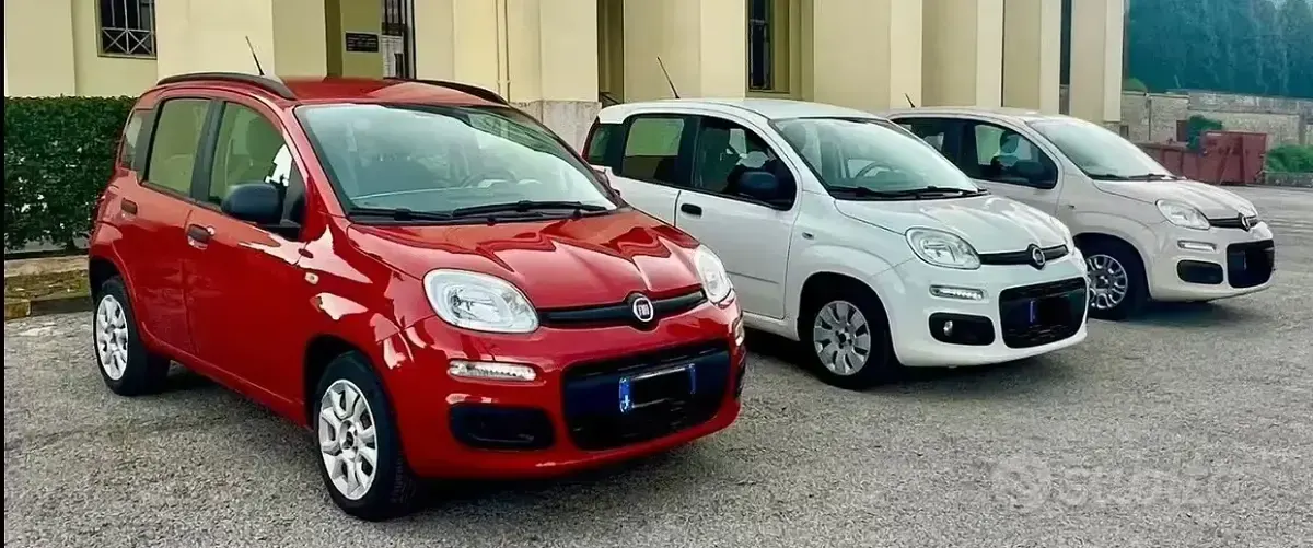 Usata Fiat Panda 75 CV (55 kW) 2015 Bianco Utilitaria